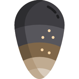 Mussel icon