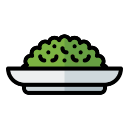 Cactus salad icon