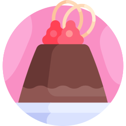 pudding icon