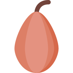 코코아 icon