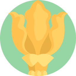 złoty plac bauhinia ikona