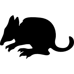 vista laterale della sagoma del mammifero bandicoot icona