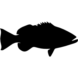 Fish shape of Cubera snapper icon