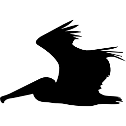 pelikaan vliegend zijsilhouet icoon