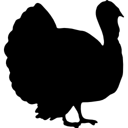Turkey bird shape from side view icon