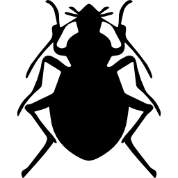 Stink bug insect shape icon