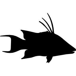 forma de pescado hog snapper icono