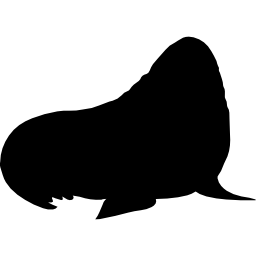 sagoma di mammifero tricheco icona