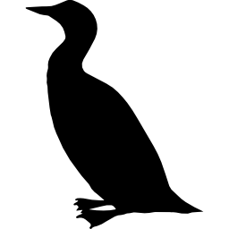 forma de pássaro mergulhão Ícone
