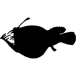 Fish Anglerfish silhouette icon