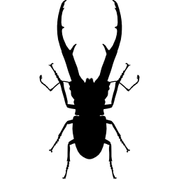 forma de escarabajo insecto chalcosoma icono