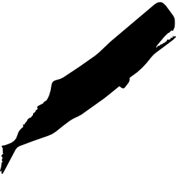Sperm whale silhouette icon