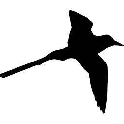 Tropical bird shape of long tail icon