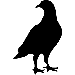 kształt ptaka gołębia ikona