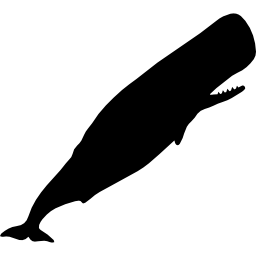 silhueta de cachalote Ícone