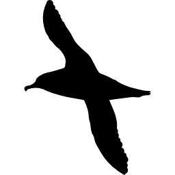 Albatross bird shape icon