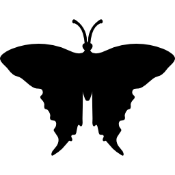 Swallowtail butterfly shape icon