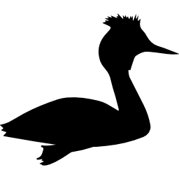 Bird grebe shape icon