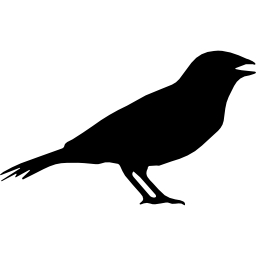 forma de pájaro anis icono