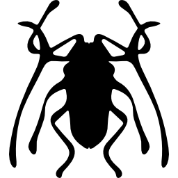 Beetle insect trictenotomidae icon