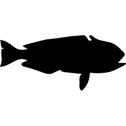Fish shape of tilefish icon
