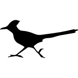 forma de pájaro correcaminos icono