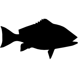 Fish shape of Red snapper icon
