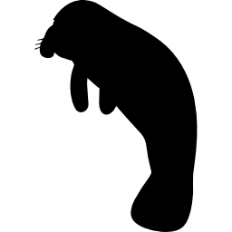 forma di animale mammifero lamantino icona