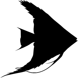 Fish of triangular shape icon