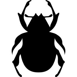 Beetle shape icon