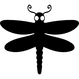Dragon fly winged animal top view icon