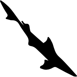 cazón en forma de pez largo y delgado icono