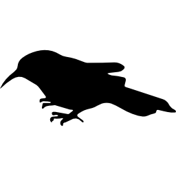 Bird plover side shape icon