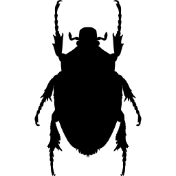 Insect shape of stink bug icon