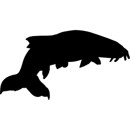 forma de pez icono