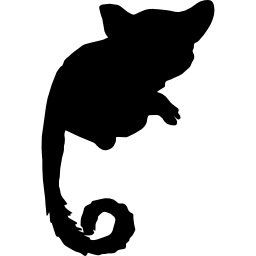 Mammal bushbaby shape of long tail icon