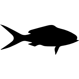 Fish shape of queen snapper icon