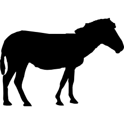 silhouette de cheval Icône