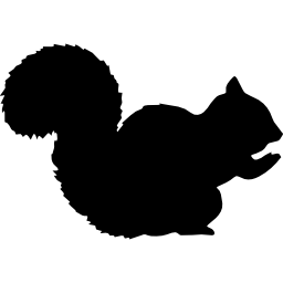 Squirrel shape icon