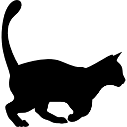 Domestic cat shape icon