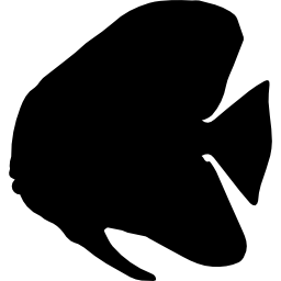 Fish batfish shape icon