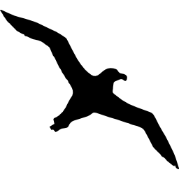 forma di volo dell'albatro dell'uccello icona