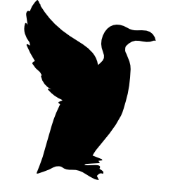 a forma di uccello auk icona