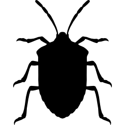 forma di insetto stink bug dalla vista dall'alto icona
