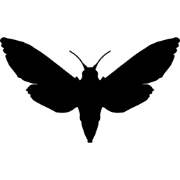 sphinx draufsicht silhouette icon