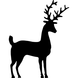cerf, silhouette Icône