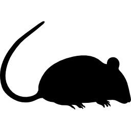 쥐 실루엣 icon