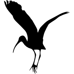 Bird stork shape icon