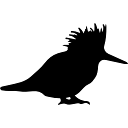 Bird silhouette icon