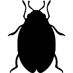 forma de chinches de insectos icono